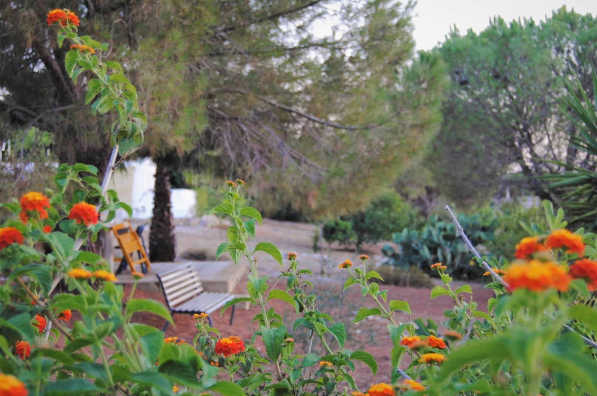 Villa Carola Gallipoli Zewnętrze zdjęcie
